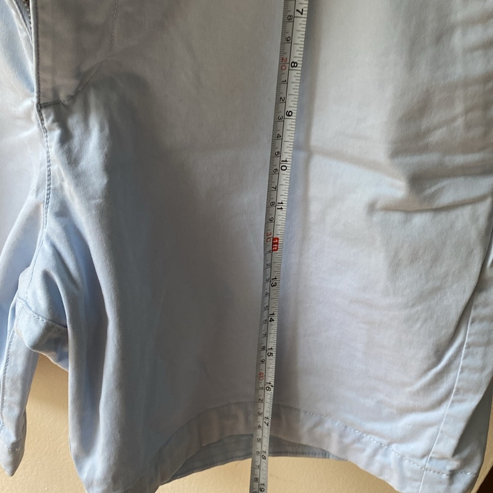 Abercrombie and Fitch Shorts - Picture 5 of 5